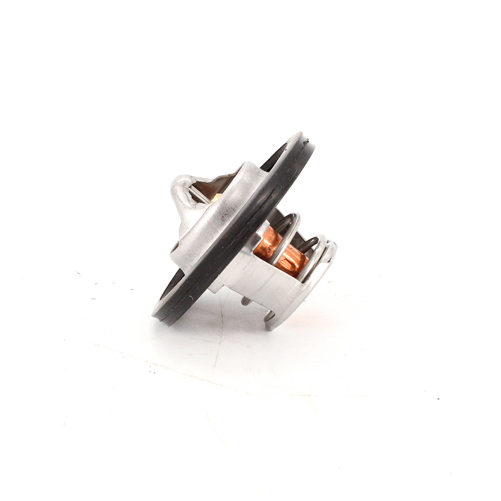 Thermostat for NISSAN NISSAN 1400 LDV — view 1